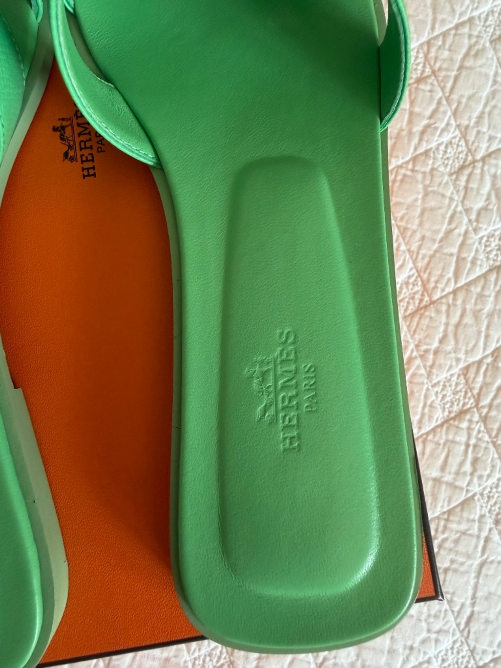 Hermes Orans - Picture 3 of 10